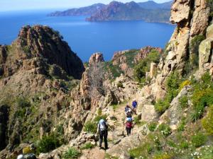 Hotels Sofitel Golfe d'Ajaccio Thalassa Sea & Spa : photos des chambres