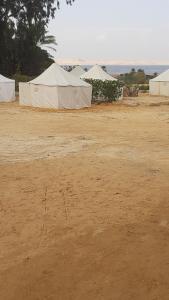 Tunis Camp Fayoum