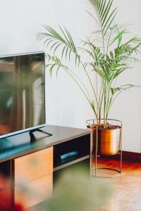 Camoes Apartment by Atlantic Holiday