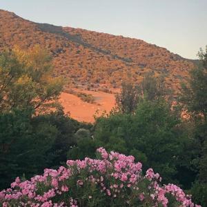 Agriturismo Relais Villa Passerini