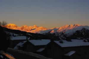 Appart'hotels Le Chalet de Bisanne : photos des chambres