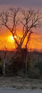 Casa alma verde alegría y paz