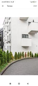 Free Indoor Parking Old Town Basanavičius Park & Balcony