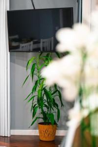 Rose House By Atlantic Holiday