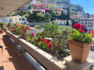 Villa Centaurea Apartment with private parking