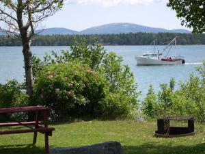 Narrows Too Camping Resort Loft Cottage 12