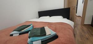 MONTANA apartment 21