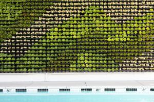 Short Stories Hotel Near The Grove