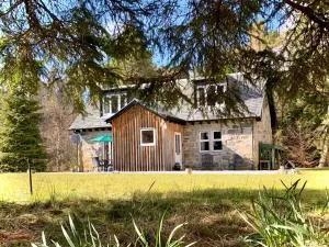 Feagour - 达尔威尼