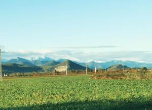 Appartements T3 au pied des Pyrenees : photos des chambres