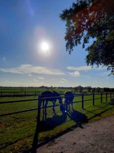 Linderhuisje, rust, ruimte, privacy en natuur