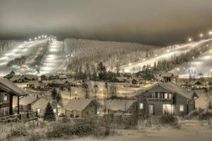 Himos , Nuppulanranta cottage