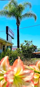 Town and Country Motor Inn