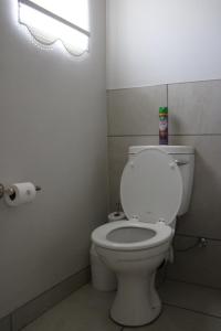 d Olive Rose Boutique Hotel Danielskuil