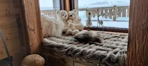 L'instant chalet Lodge 17 - 热拉梅