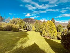 Swiss Chalet Clarens