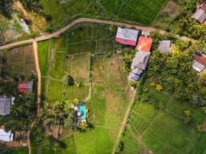 Nelu Villa Sigiriya