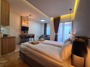Apartmani Central & Free parking