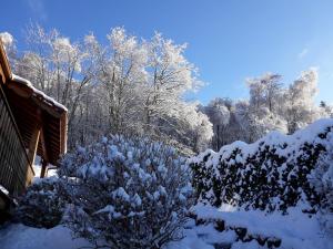 Chalets Beautiful chalet with sauna and views of Vosges : photos des chambres