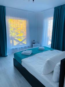 DACHA на Магурі