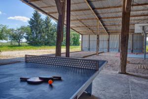 Villas Crazy Villa Gouadiere 45 - Heated pool - Basket - 1h45 from Paris - 30p : photos des chambres