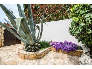 Casa Astrid by the sea in Porec