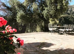 Maisons de vacances Le presbytere du Nebbiu piscine et jacuzzi : photos des chambres