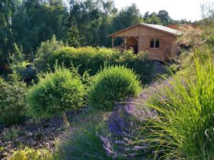 Dom Wczasowy Pięciu Pomostów