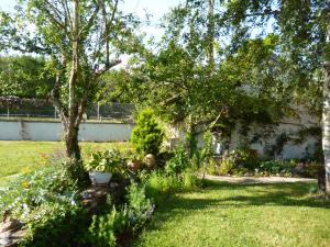 Appartements Ancient Country Cottage for 2, nature lovers paradise. : photos des chambres