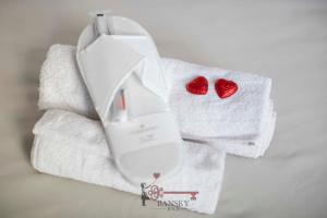 CENTRAL & BRIGHT Apartment on two floors TURQUOISE -By EasyLife Swiss