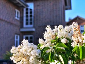 FW Steuerbord Peildeck