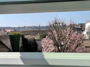 Appartements Le Bel Vue : photos des chambres
