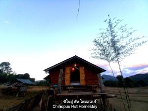 Chinopuu Hut Homestay Muangkong ชิโนปู ฮัท โฮมสเตย์ เมืองคอง เชียงดาว