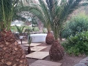 Le casette di Marilena Agave Iucca