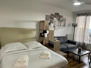 Appartements Magnifique studio/parking prive - DABNB : photos des chambres