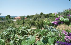 Three-Bedroom Apartment In Biograd