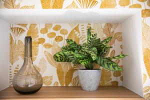 Appartements Le Maleville - Balneo & Ascenseur : photos des chambres