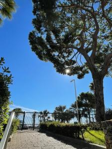 Vacances paradisiaques, Plage Cannes boccacabana, studio