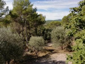 Maisons de vacances La bastide des costes : photos des chambres
