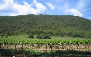 Gite au domaine de siouvette