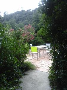 Mas provencal au vieux moulin