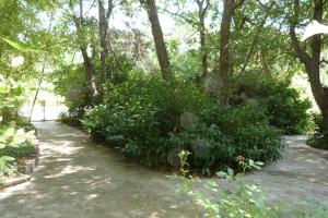 Maisons de vacances Mas provencal au vieux moulin : photos des chambres