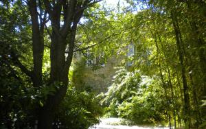 Maisons de vacances Mas provencal au vieux moulin : photos des chambres