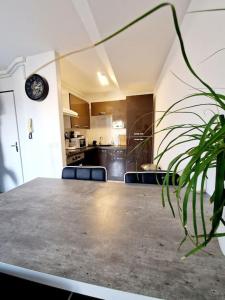 Appartements Agreable appartement T2 Centre ville : photos des chambres