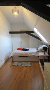 Appartements Loft de 53 m2 centre ville Blois WIFI et TV : photos des chambres