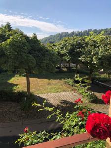 Hotels Relais Manderen : photos des chambres