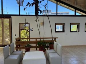 Los Aromos de Valeria