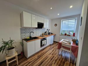 Apartament 5 minut od Parku Zamkowego