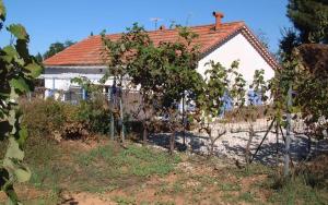 A 1,3 km de la mer maison individuelle au calme