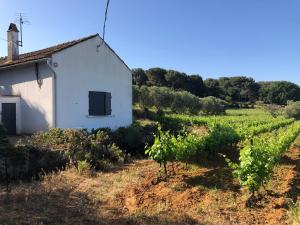 A 1,3 km de la mer maison individuelle au calme